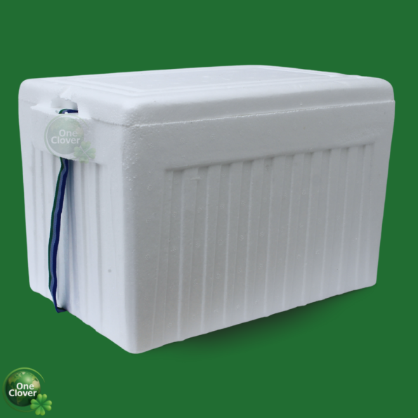 Nevera De Icopor 30 litros h